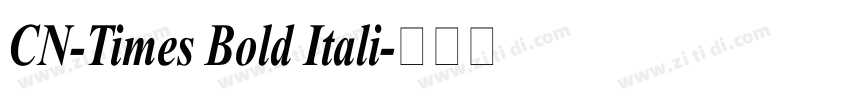 CN-Times Bold Itali字体转换